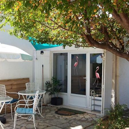 Le Flamant Rose Bed & Breakfast Salin-de-Giraud Exterior foto