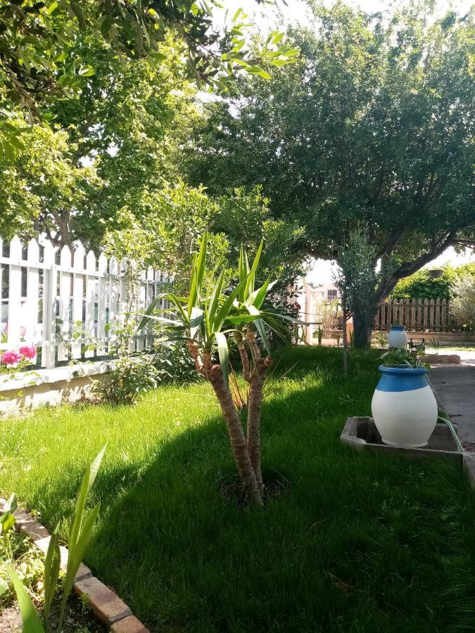Le Flamant Rose Bed & Breakfast Salin-de-Giraud Exterior foto