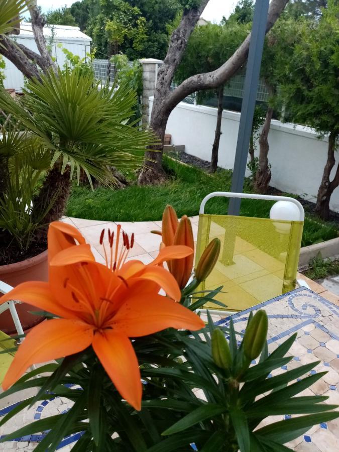 Le Flamant Rose Bed & Breakfast Salin-de-Giraud Exterior foto